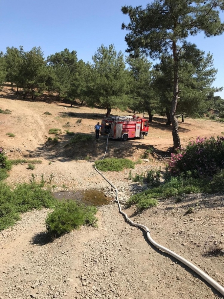 Islanan Elbiselerini Kurutmak İsteyen Çocuk Orman Yangını Çıkardı