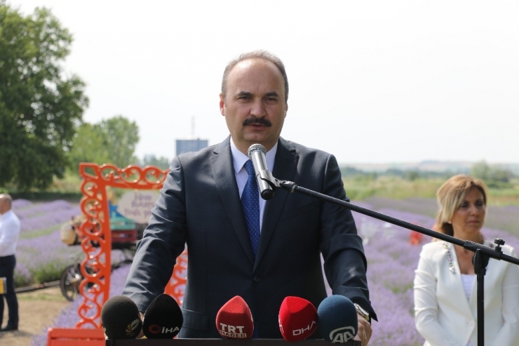 Çiftçiye Müjde, Enstitü Müdürü Açıkladı: “Litresi 100 Euro”