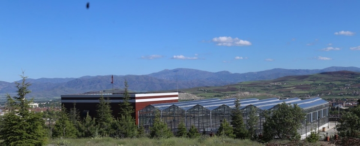 Endemik Bitkiler, Doku Kültürü Laboratuvarında Üretildi