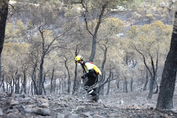 İspanya’da 220 Hektar Orman Kül Oldu