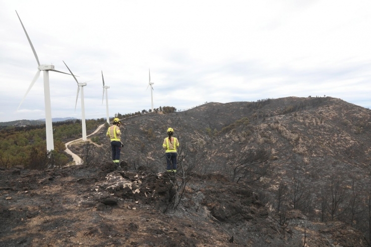 İspanya’da 220 Hektar Orman Kül Oldu
