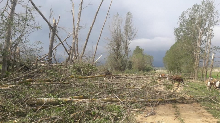 Kastamonu’da İlçe Merkezinde Hortum Korkuttu
