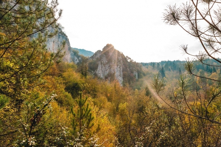 Küre Dağları Milli Parkı’na “Platin Yabanıl Sertifika”sı