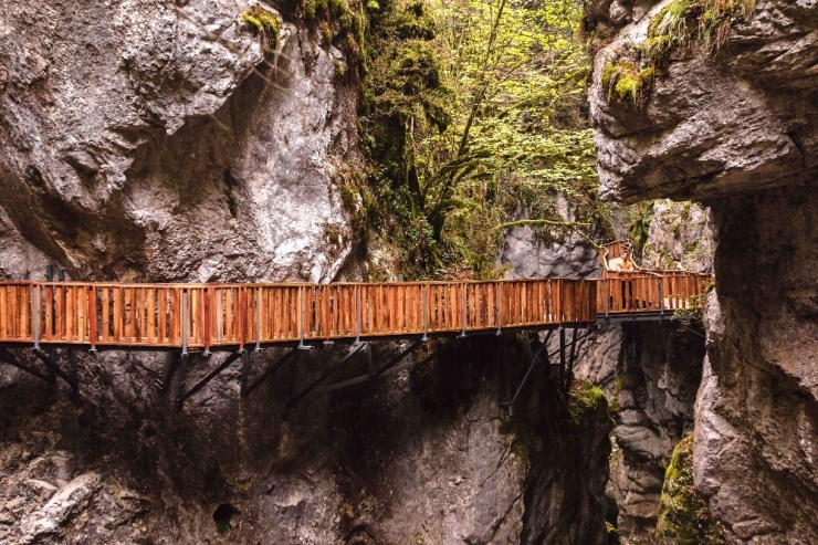 Küre Dağları Milli Parkı’na “Platin Yabanıl Sertifika”sı