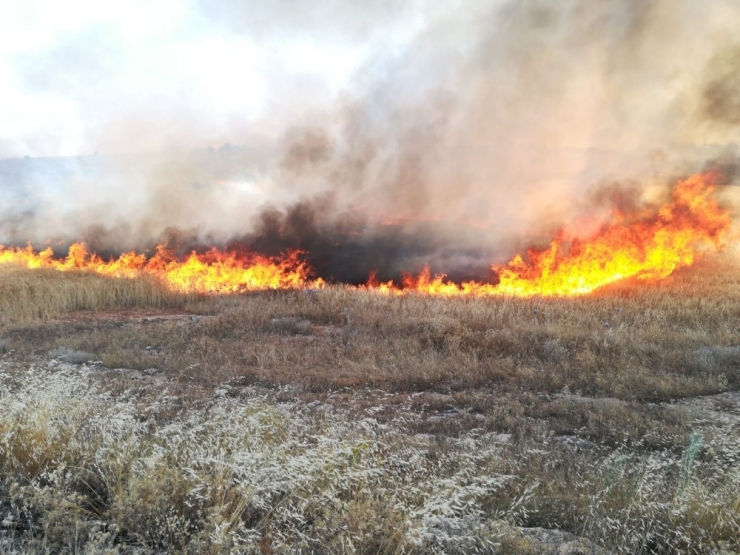 Midyat’ta İtfaiye Ekipleri ‘Sıfır Yangın’ İçin Seferber Oldu