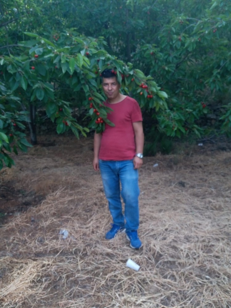 Ağaçtan Düştü Belini Kırdı