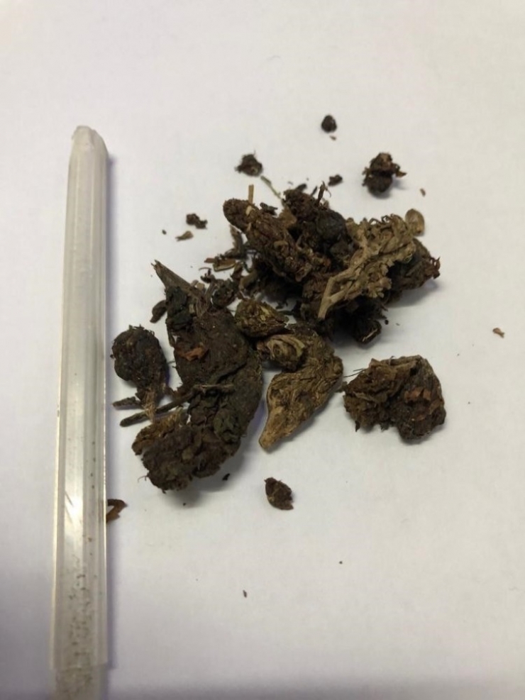 Gömeç’te Polis Kuş Uçurmuyor