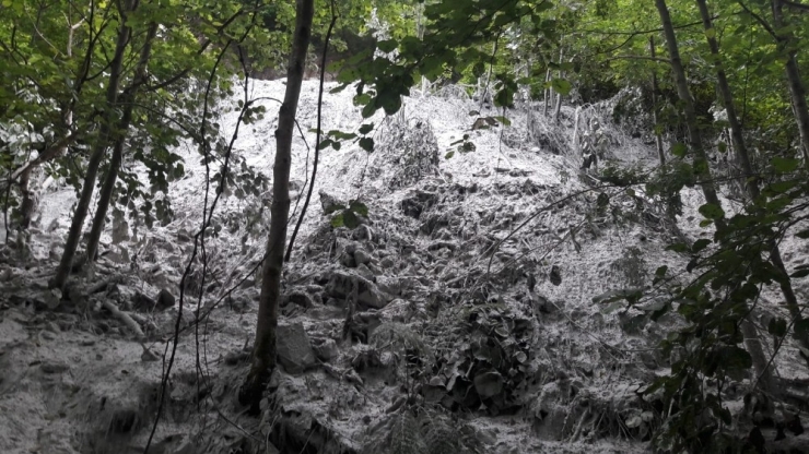 Dereleri Böyle Kirletiyoruz