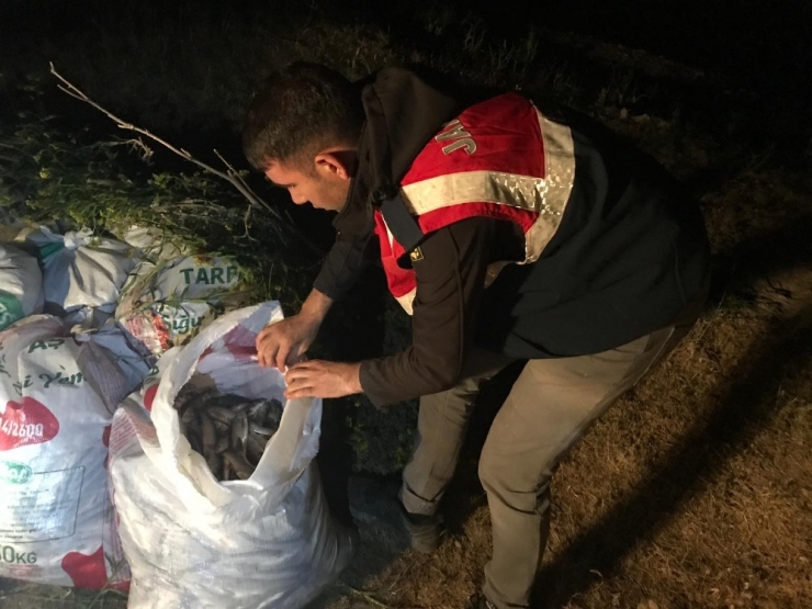 Jandarmanın Kaçak Avcılarla Mücadelesi