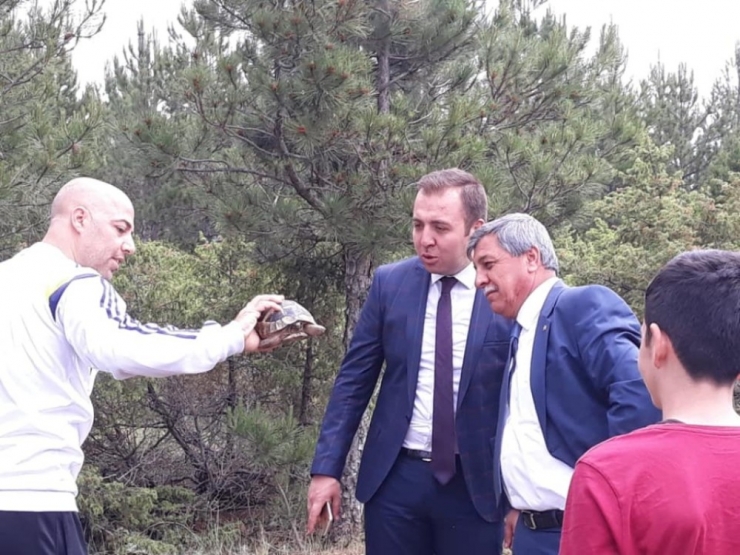 Altıntaş’ta Doğa Yürüyüşü