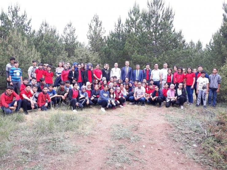 Altıntaş’ta Doğa Yürüyüşü