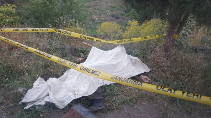 Gece Tarlasına Sulamaya Giden Adam Sabah Ölü Bulundu