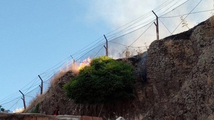 Diyarbakır’daki Anız Yangını Vatandaş, Asker Ve İtfaiye İşbirliği İle Söndürüldü