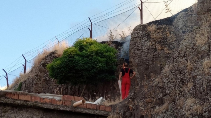 Diyarbakır’daki Anız Yangını Vatandaş, Asker Ve İtfaiye İşbirliği İle Söndürüldü
