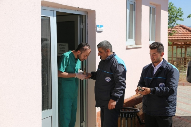 Yaralı Ebabil Ve İbibik Kuşu, Tedavi Altına Alındı