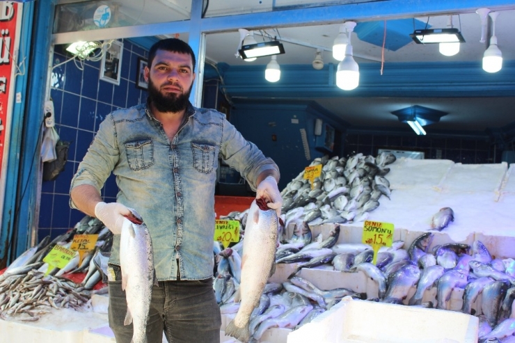 Balıkta Çeşit Çok, Talep Az