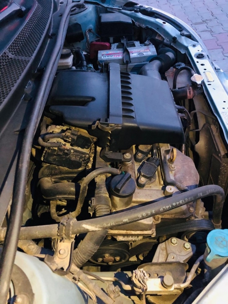 Satılık Aracı Görmeye Gelen Müşteri Yılanla Karşılaştı