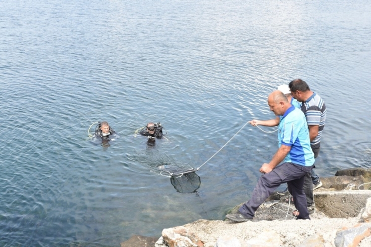 ‘Denizden Babam Çıksa Yerim’ Demeden Önce Bir Kez Daha Düşünün