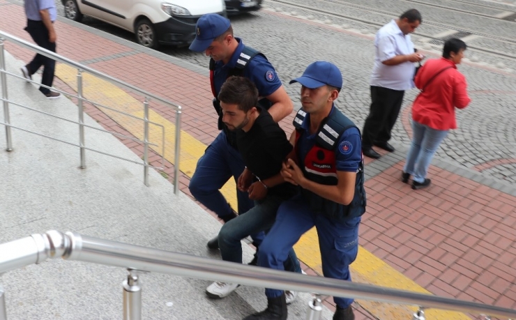 Ormanlık Alana Kenevir Eken Şahıs Adliyeye Sevk Edildi