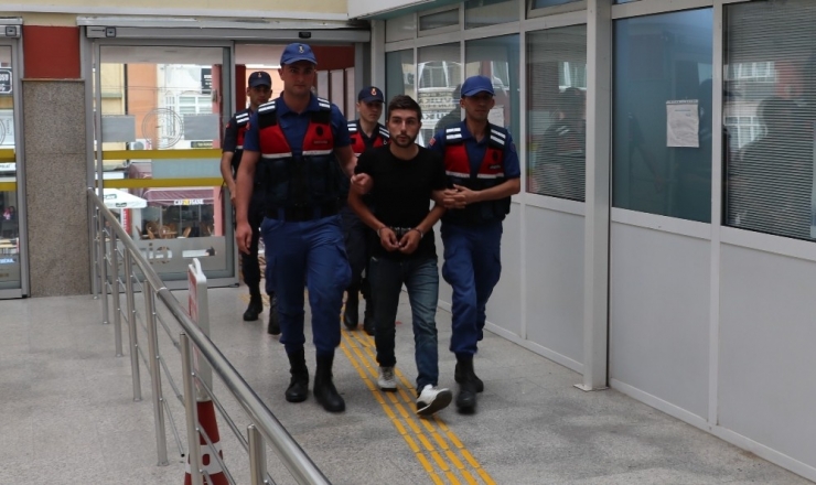 Ormanlık Alana Kenevir Eken Şahıs Adliyeye Sevk Edildi