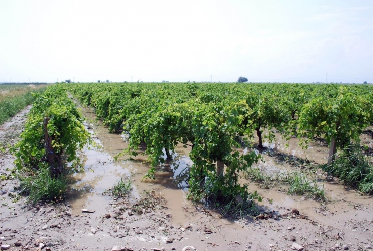 Manisa’da Tarım Arazilerini Dolu Vurdu