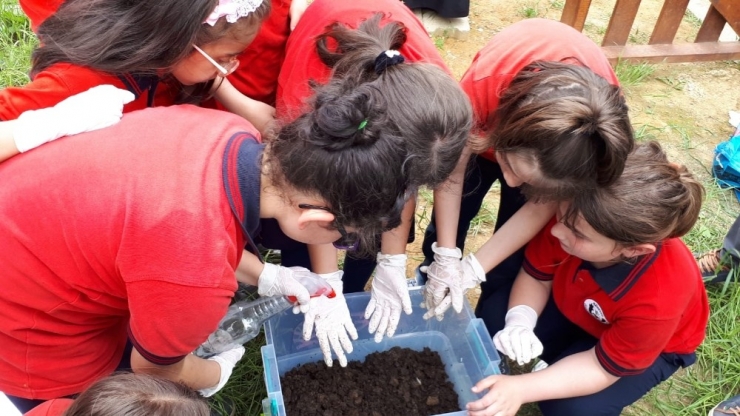 Öğrenciler Kendi Gübresini Kendisi Üretiyor
