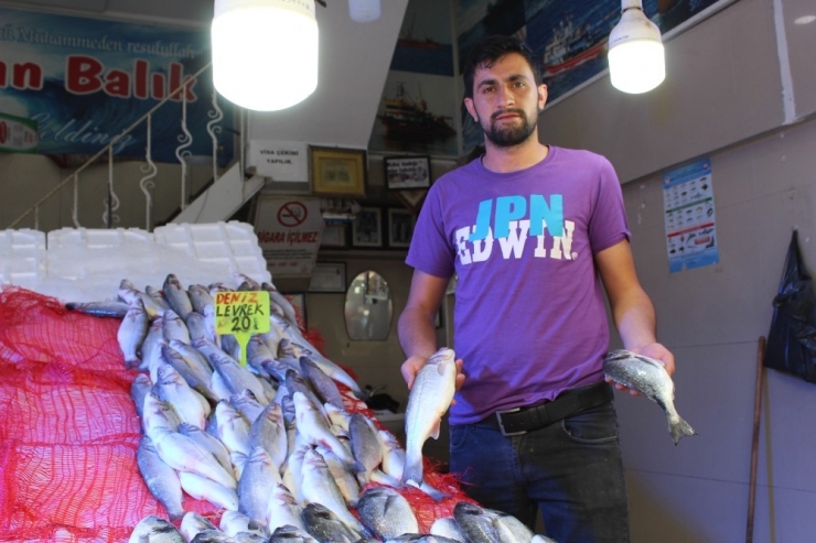 Balıkta Çeşit Çok, Talep Az