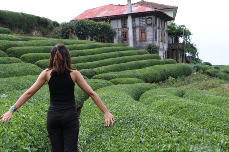 Çay Bahçesi Çay Bahçesi Olalı Böyle İlgi Görmedi