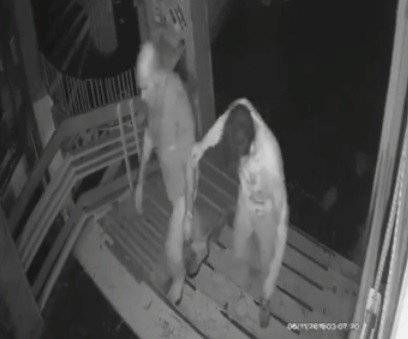 Görevliyi Darp Edip, Cep Telefonlarını Çaldı