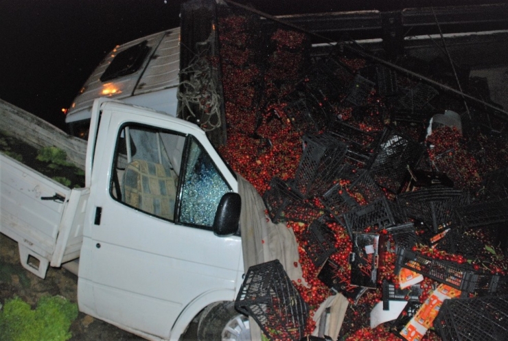 Kiraz Yüklü Kamyon Kamyonetin Üzerine Devrildi: 3 Yaralı