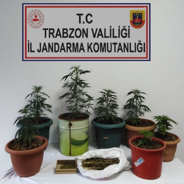 Deniz Manzaralı Esrar Balkonu