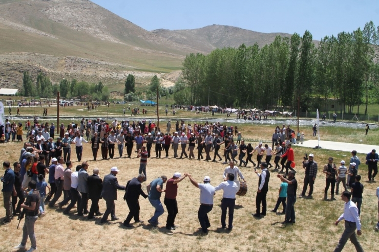 Gürpınar’da Yapılan Gürfest’e Yoğun İlgi