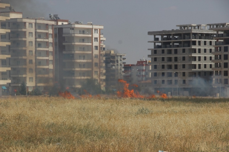 Şanlıurfa’da Günün Kahramanı Çocuklar