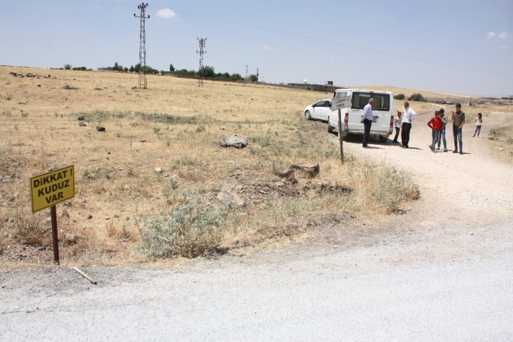 Diyarbakır’da Kuduz Alarmı