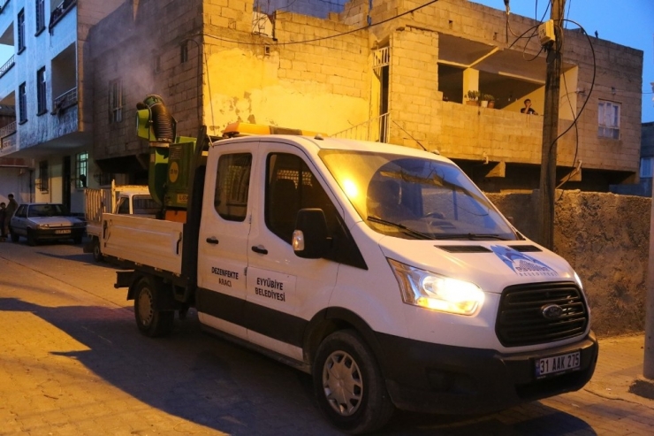 Eyyübiye’de Haşereyle Mücadele Operasyonu Sürüyor