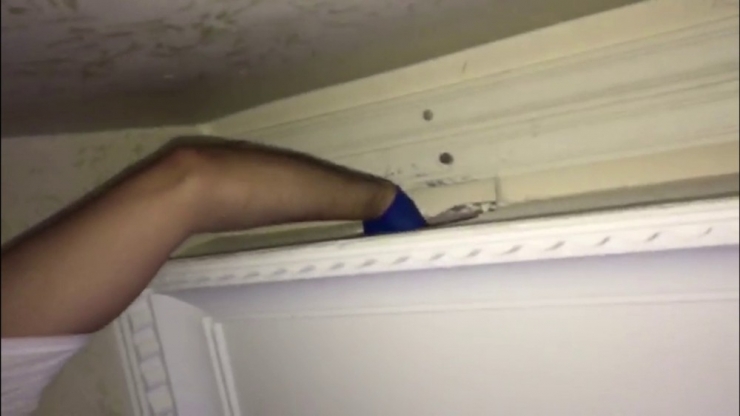 Torbacı Evinin Kartonpiyerini Zula Yaptı