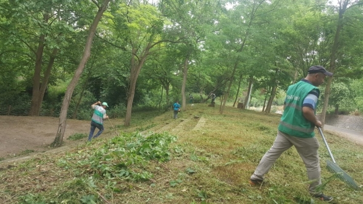 Cephanelik Mesire Alanı Elden Geçirildi