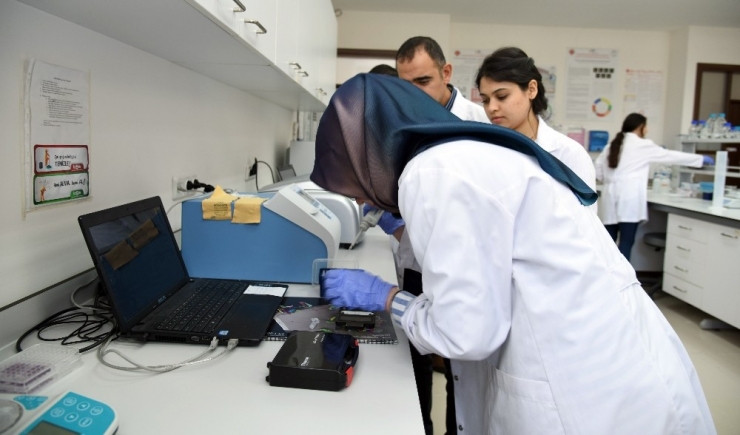 Kastamonu Üniversitesi, İthal Edilen Peyniri Yaptığı Çalışmayla Millileştirecek