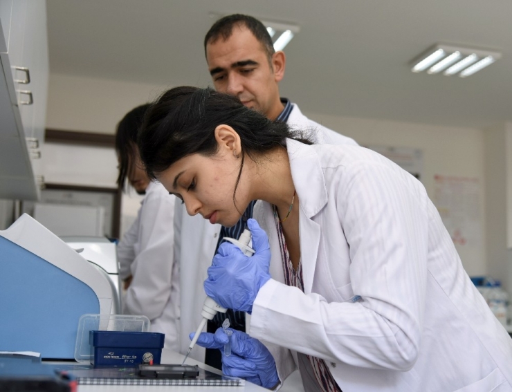 Kastamonu Üniversitesi, İthal Edilen Peyniri Yaptığı Çalışmayla Millileştirecek