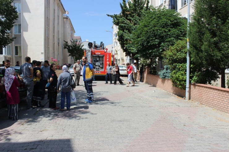 Yanan Evden Çıkarılan Kediyi 112 Ekipleri Oksijen Vererek Kurtardı