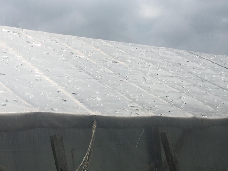 Ordu’daki Dolu Yağışı Sonrası Hasar Tespit Çalışmaları Başladı