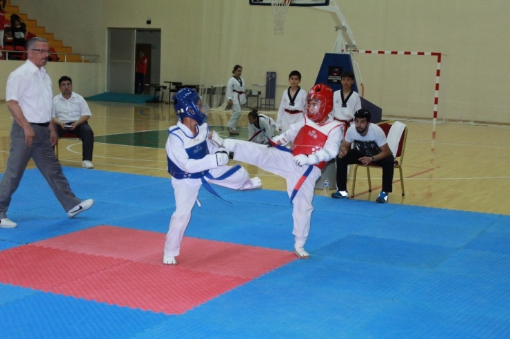 Osmaniye’de Tekvando Seçmeleri