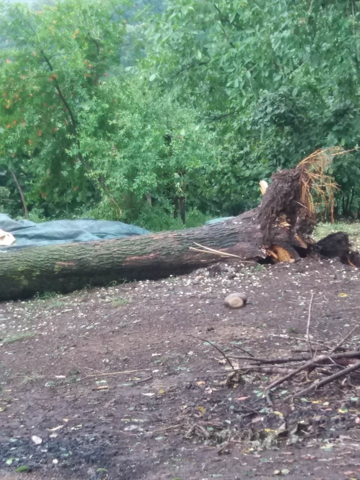 Samsun’da Sağanak