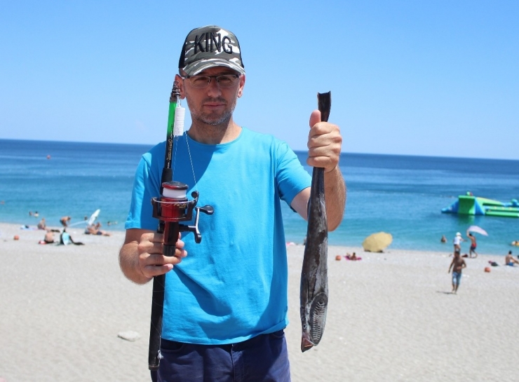 Antalya’da Oltaya Takılan Vantuz Balığı Şaşkınlığı