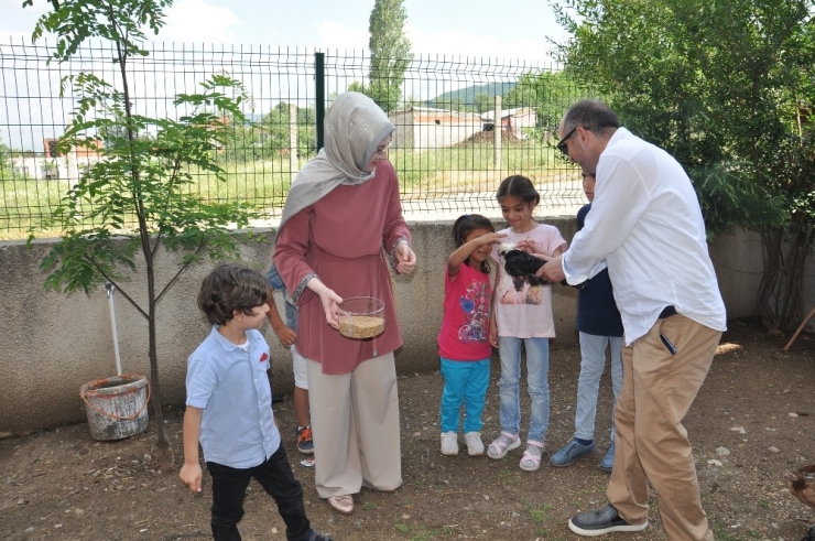 Bu Okul Diğerlerinden Çok Farklı