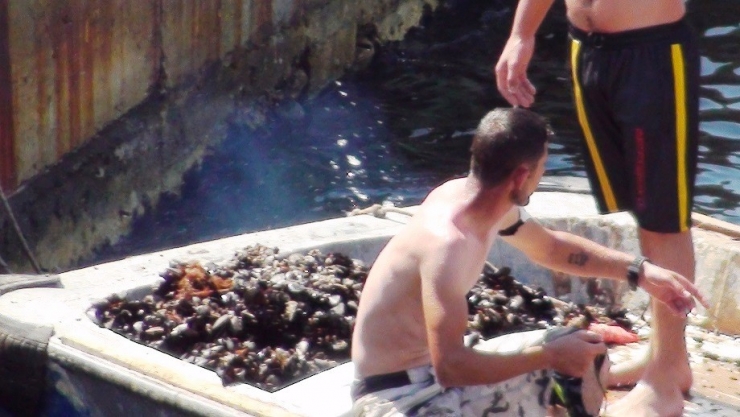 Çanakkale’de Midyeciler Kaçtı, Sahil Güvenlik Kovaladı