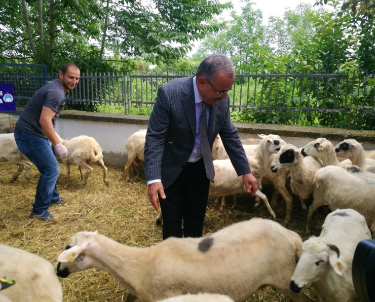 Hilmi Güler Ezber Bozdu