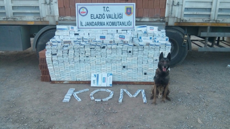 Elazığ’da Jandarma 2 Yılda, 14 Teröristi Etkisiz Hale Getirdi, 597 Kilo Esrar Ele Geçirdi