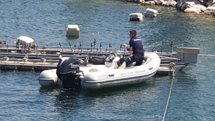 Zabıta’dan Gölde Ördek Kurtarma Operasyonu