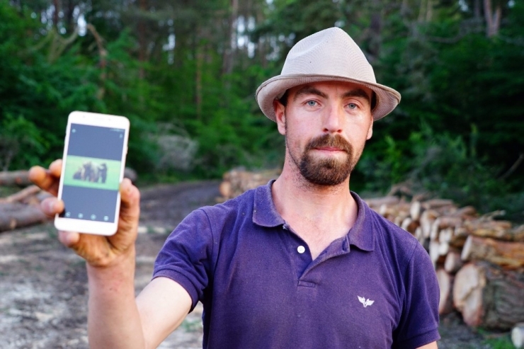 Anne Ayı, Orman İşçilerini ’Rehin’ Aldı